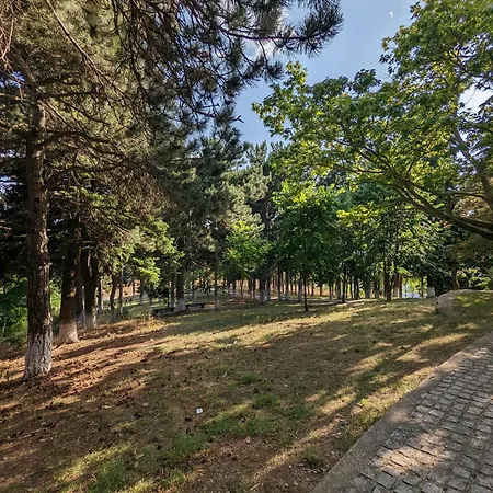Mitikas Hotell